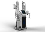 CE TGA certification high efficient fat removal body shaping cryolipolysis