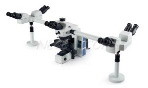 Wholesale Medical Research Multi View Microscope , Wide Field Fluorescence Microscopy from china suppliers