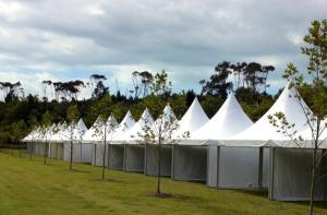 Wholesale White / Transparent Canvas 8x8 Outdoor Gazebo Tent With Hot Dip Galvanized Steel from china suppliers