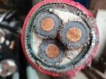 Medium Voltage Power Cable Copper Conductor XLPE Insulated Armoured Power Cable