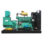 Small Generator Electric Generator Biogas/Natural Gas/LPG Generator