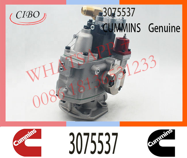 3075537 Diesel Pump for Cum-mins KTA38 KTA50 NTA855 Engine PT Fuel Injector 3075537 3059657 3070123 3262033 3636943