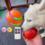 Cat Dogs Activated USB Rechargeable Indoor Wicked Ball for Small Medium Large