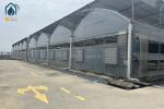 Vegetables And Herbs Multi Span Greenhouse Durable Greenhouse Structure