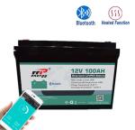 Bluetooth CC-CV 12V 100Ah Lifepo4 Lithium Battery BMS