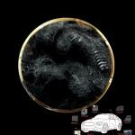 LMF Low Melt Polyester Staple Fiber Anti Distortion Anti Pilling