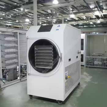 Freeze Dryer Lyophilization Machine Vacuum Freeze Dryer Lyophilizer Dryer Fruit