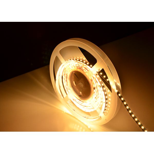 RGB Dimmable 3528 Smd Led Strip Light , 5 Year Warranty