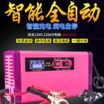 24V Ac Input Lead Acid Battery Chargers Precise Control Low Voltage Protection