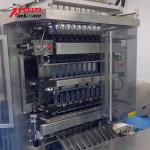 Automatic Multi-Lane Powder Sachet Packing Machine