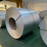 Prime Coil Roll 0.12-0.6mm Hot Dipped Z20 Z60 Z180 Zinc Coating Galvanized Steel