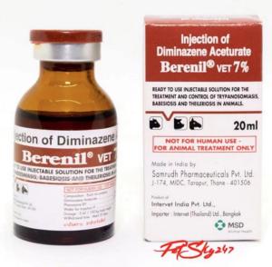 Wholesale Diminazene Aceturate Injection Labels And Boxes from china suppliers
