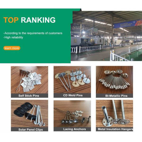 Self Stick Insulation Support Nail With Self Locking Washer