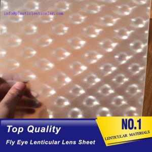 Wholesale PLASTIC LENTICULAR fly eye lenticular sheet 0.5mm small dot lens film clear PP lenticular led light diffuser plate from china suppliers
