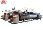 1000 Kg 1 Ton Natural Gas Fired Steam Boilers Horizontal For Food Sterilization