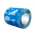 Cold Rolled PPGI Galvanized Steel Coil Color Coated Az60 Grass Brick Flower