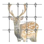 Hot Dipped Galvanized Fixed Knot Woven Game Wire Farm Fencing for Pasture Goat