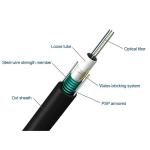 PE Material Fiber Optic Patch Cord G652D Singlemode 12 Core Unitube Light