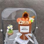 Christmas Pawfect Leader Plush Toy Set Capybara Flower Bouquet Kawaii Cartoon