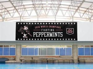 Wholesale Single Sided Or Double Sided Indoor Display Stands Screen Printed 100% Polyester from china suppliers