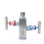 Integrated Stainless Steel Two Valve Group Instrument Pressure Gauge Valve