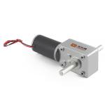 Faradyi Customized FR12 High Quality 12V 16RPM Brushless Dc Worm Gear Stepper