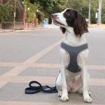 Fashionable Luxury Nice Quality Pet Vast Harness Fastness Walking Leashes For