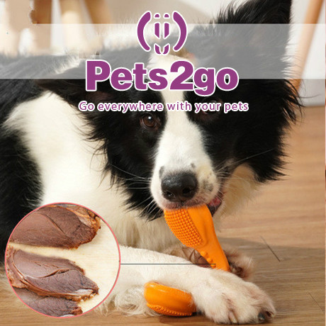 Hard Rubber Interactive Dog Chew Toys For Teeth Grinding