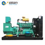 10kw-300kw Biogas Natural Gas Generator Set
