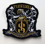 TS Dragon Custom Embroidered Patches Cotton Fabric for Soccer Suit