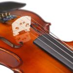 Ebony Parts Solid Wood 4/4 Electric Violin with Case (VE008) Muscial Instruments