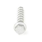 Stainless Steel Flange Hex Masonry Anchor Screws for Guardrail Fixing Tornillos