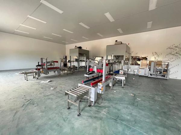 Forming Function Automatic Packaging Line 35-150 Bags/min For Carton Size 250