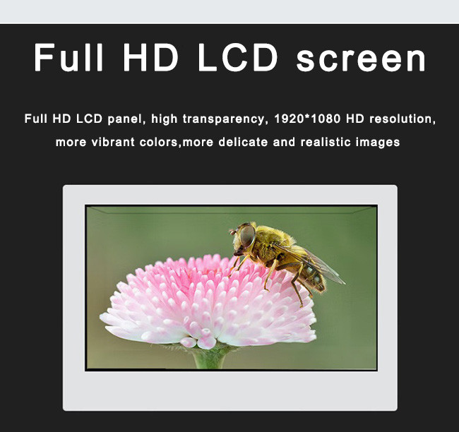 Ultra HD Transparent LCD Advertising 1920*1080 LCD Display Cabinet