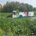 Enteromorpha Trash Skimmer Machines aqautic weed harvester reed water glass