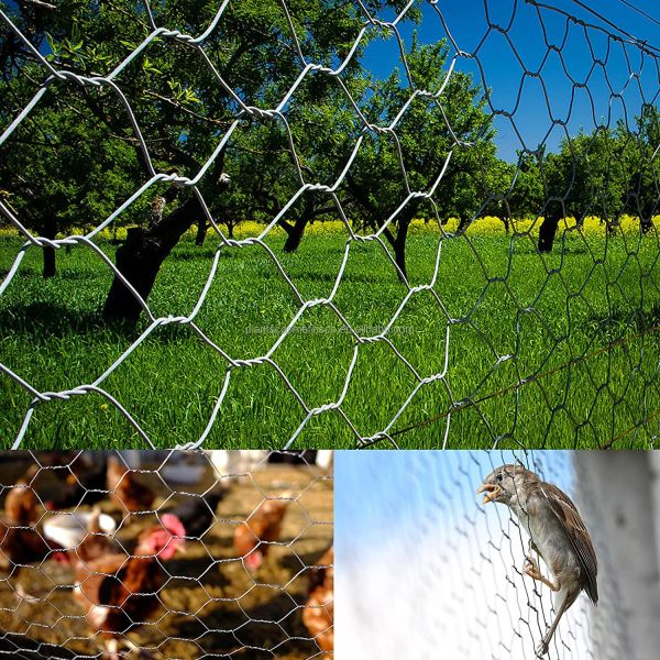 100cm Height 20 Gauge Hexagonal Wire Netting Customized Sizes
