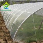 0.06mm 0.20mm Thick Flm Poly Tunnel Greenhouse Hot Galvanised Steel Greenhouse