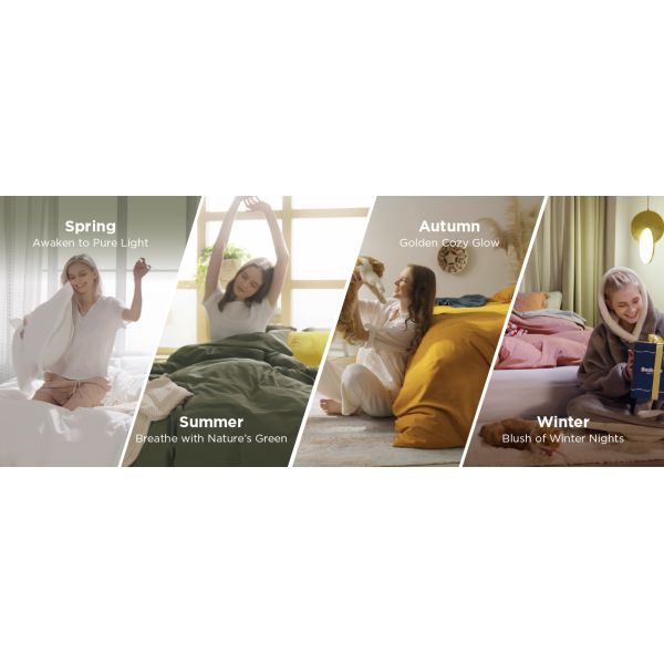 3 Pieces Extra Soft Bedding Set, Includes 1 Duvet Cover with Zipper Closure & 2 Pillow Shams