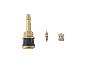 Wholesale Clamp- In Brass Bus and Truck Tire Valves TR500 / V3.21.2 Tubeless Valve from china suppliers