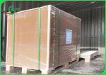 Offset Printing PE Coated Paper 300 + 15g FDA Disposable 750 / 800 / 900mm