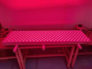 Wholesale 3000W Red Therapy Panel LED PDT Timing 660nm 850nm Red Light Therapy Device from china suppliers