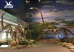 Museum Exhibition Dinosaur Fossil Replicas Realistic Bone / Dinosaur Skeleton