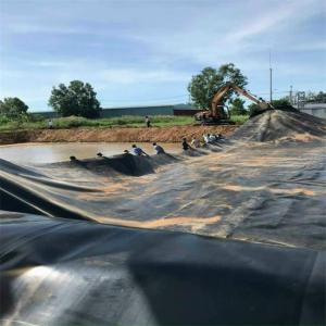 Wholesale Geomembranes for Outdoor 0.5 mm 0.75 mm 1.0 mm 1.5 mm 2.0 mm HDPE Fish Dam Pond Liner from china suppliers