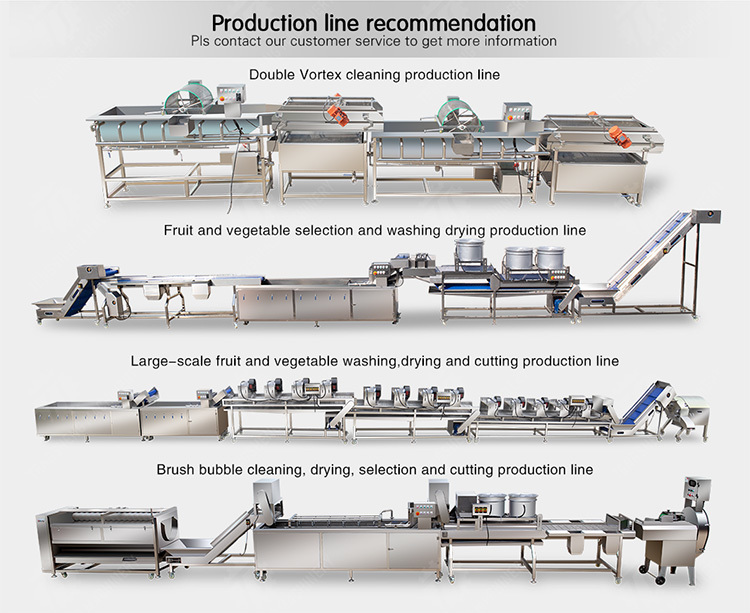 vegetable drying equipment Fruit and vegetable selection washing and drying production line Fruit Vegetable FOOD processing production Machine fruit