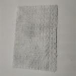 Product Feature Ecofriendly 3D Composite Geonet for Landfill Roadbed Slope