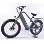 26in Fat Tire Electric Hunting Bike 1000w Alloy Frame With KMC Chain