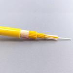 Indoor LSZH Aramid Yarn Strength G652D Fiber Optic Cable GJPFJH 4 6 8 12 24 48