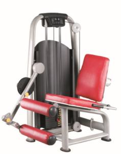 Wholesale Seated Leg Curl from china suppliers