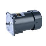 6RK120GN-CF Ac Gear Motor For Food And Beverage Industry