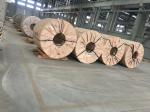0.5mm 10mm Cold Rolled Stainless Steel Coil Strip AISI 300 Series 304 316 316L